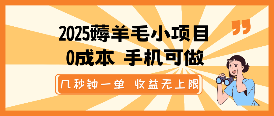 2025薅羊毛小项目，0成本 手机可做，几秒钟一单，收益无上限-云源网创