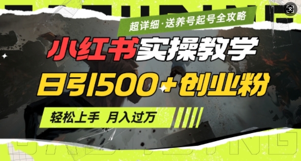 2月小红书最新日引500+创业粉实操教学【超详细】小白轻松上手，月入1W+，附小红书养号起号SOP-云源网创