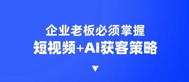 企业短视频AI获客霸屏流量课，6步短视频+AI突围法，3大霸屏抢客策略-云源网创