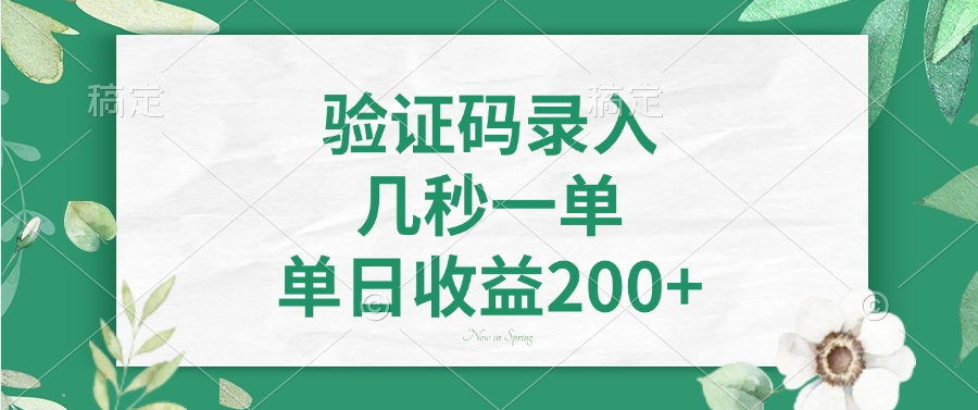 验证码录入，几秒一单，单日收益200+-云源网创