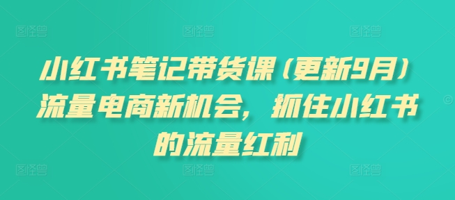 小红书笔记带货课(更新25年2月)流量电商新机会，抓住小红书的流量红利-云源网创