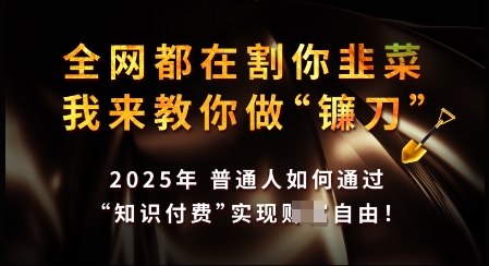 知识付费如何做到月入过W+，2025我来教你做“镰刀”【揭秘】-云源网创