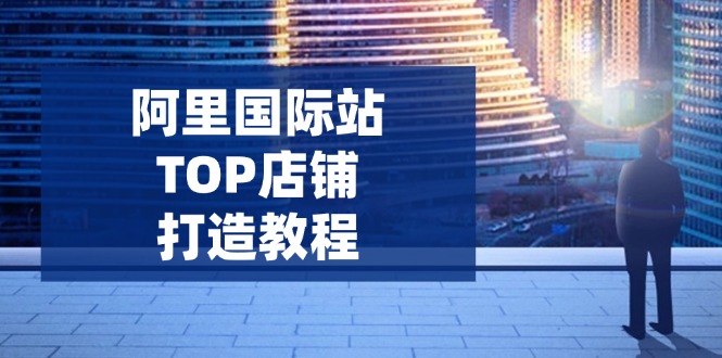 阿里国际站TOP店铺打造教程：涵盖平台到高阶，解决运营难题，提升询盘-云源网创
