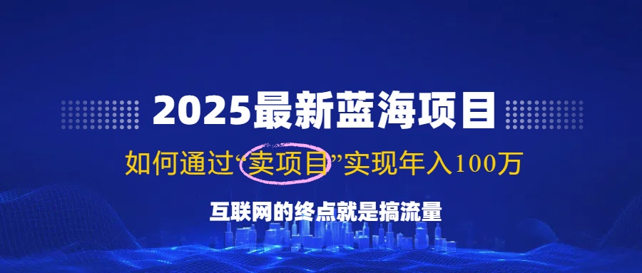 2025最新蓝海项目，零门槛轻松复制，月入10万+，新手也能操作！-云源网创