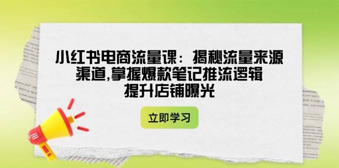 小红书电商流量课：揭秘流量来源渠道,掌握爆款笔记推流逻辑,提升店铺曝光-云源网创