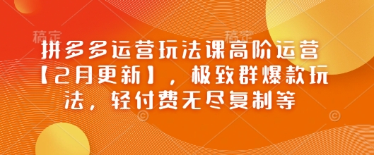 拼多多运营玩法课高阶运营【2月更新】，极致群爆款玩法，轻付费无尽复制等-云源网创