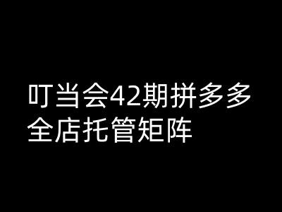 叮当会拼多多打爆班原创高阶技术第42期，拼多多全店托管矩阵-云源网创