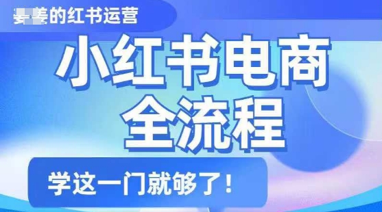 小红书电商全流程，精简易懂，从入门到精通，学这一门就够了-云源网创