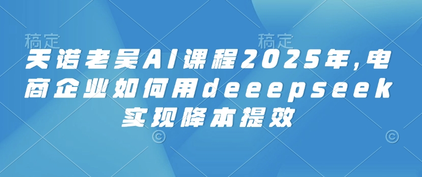 天诺老吴AI课程2025年，电商企业如何用deeepseek实现降本提效-云源网创