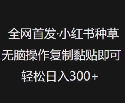 全网首发，小红书种草无脑操作，复制黏贴即可，轻松日入3张-云源网创