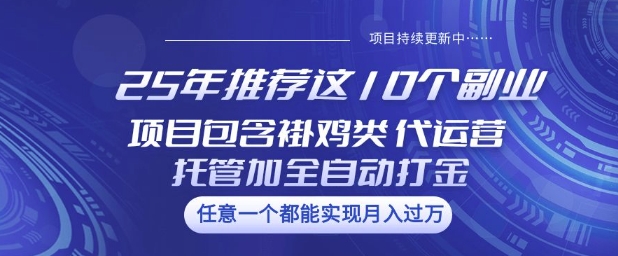 25年推荐这10个副业项目包含褂鸡类、代运营托管类、全自动打金类【揭秘】-云源网创