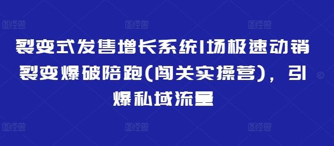 裂变式发售增长系统1场极速动销裂变爆破陪跑(闯关实操营)，引爆私域流量-云源网创