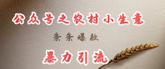 deepseek写农村小项目，条条爆款，暴力引流-云源网创