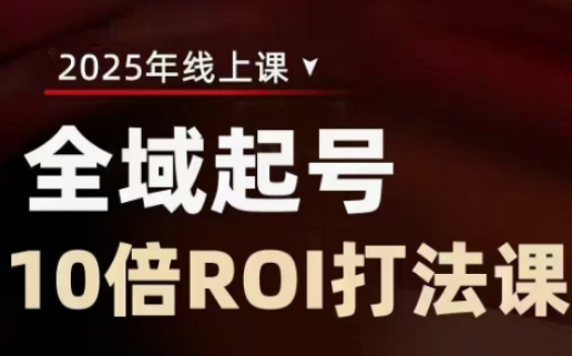 2025全域起号10倍ROI打法课，助你提升直播间的投资回报率-云源网创