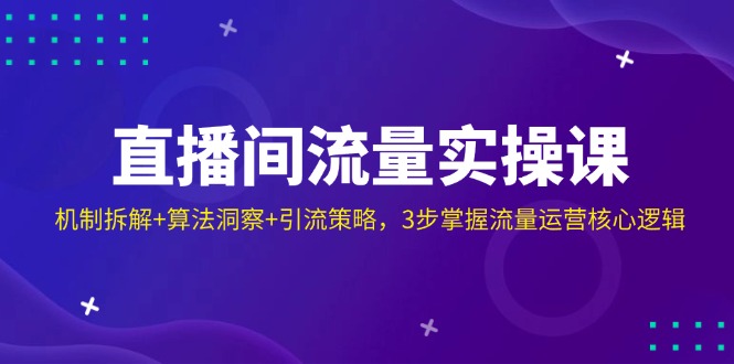 直播间流量实操课：机制拆解+算法洞察+引流策略，3步掌握流量运营核心逻辑-云源网创