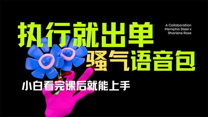 爆火全网的开车导航骚气语音包,只要执行就出单，小白看完课程就能实操…-云源网创