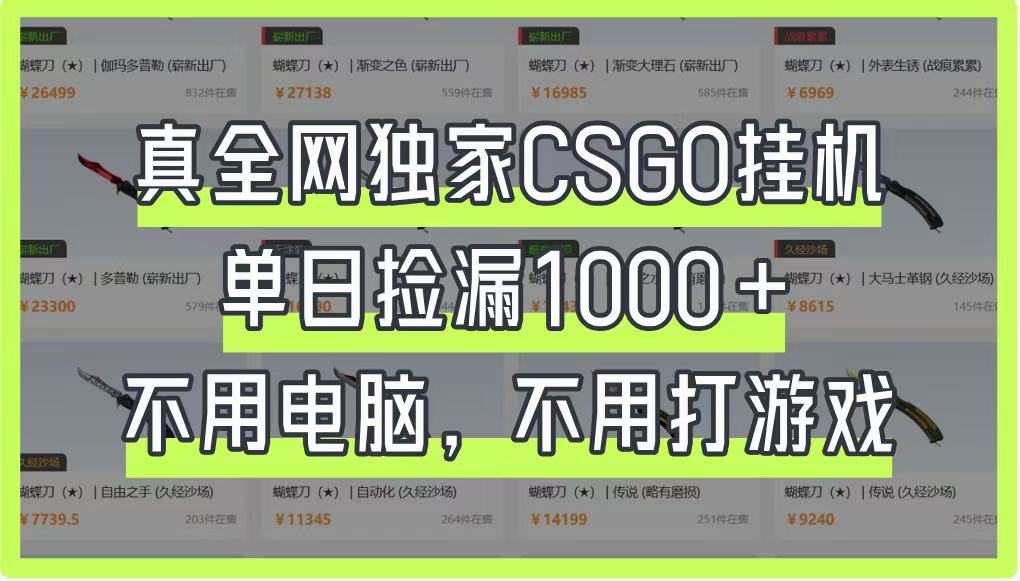 真全网独家CSGO挂机，单日捡漏1000+，不用电脑，不用养号-云源网创