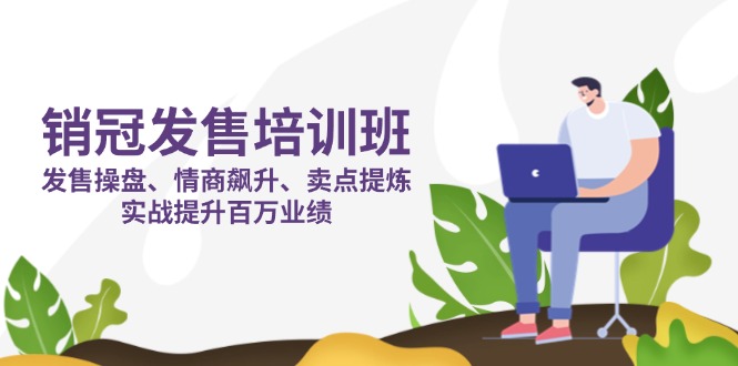 销冠 发售培训班：发售 操盘+情商 飙升+卖点 提炼，实战提升百万业绩-云源网创