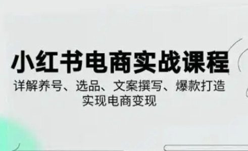 小红书从0-1实操课(2023-2025)，详解养号、选品、文案撰写、爆款打造实现电商变现-云源网创