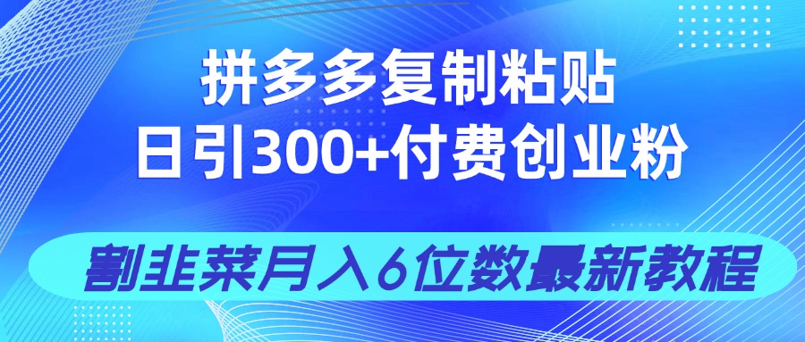 拼多多复制粘贴日引300+付费创业粉，割韭菜月入6位数最新教程！-云源网创
