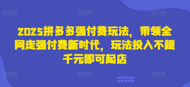 2025拼多多强付费玩法，带领全网走强付费新时代，玩法投入不超千元即可起店-云源网创