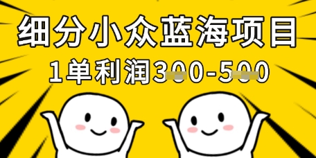 细分小众蓝海项目，一单利润3张，每月收入稳定过1w+-云源网创