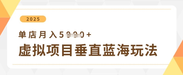 虚拟项目垂直玩法，实现单店月入5k+-云源网创
