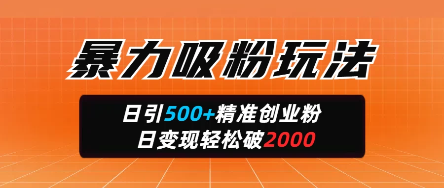 暴力吸粉玩法，日引500+精准创业粉，日变现轻松破2000-云源网创