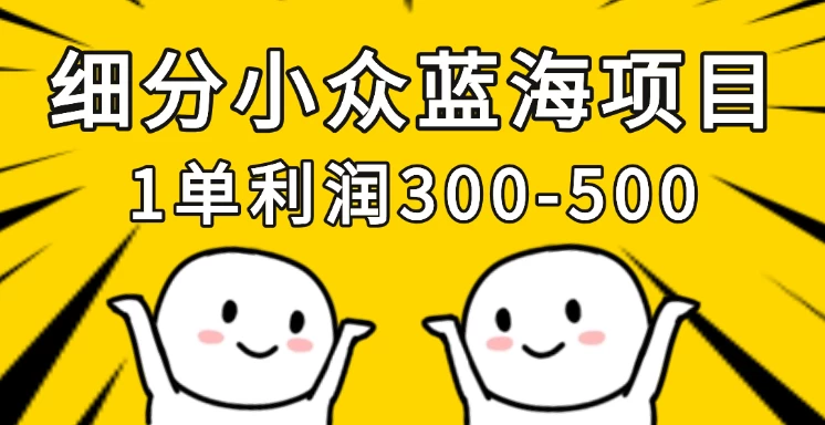 细分小众蓝海项目，一单利润300-500，每月收入稳定4w+-云源网创