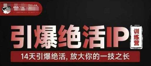 引爆绝活IP训练营，14天引爆绝活，放大你的一技之长-云源网创