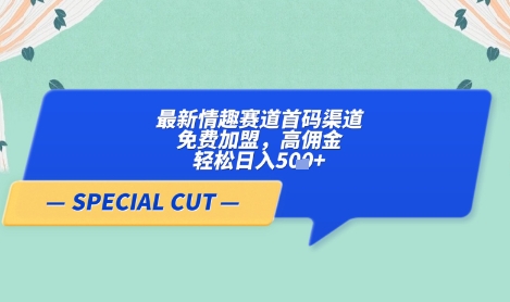 【轻云】最新情趣赛道首码渠道，免费加盟，高佣金，轻松日入5张+-云源网创