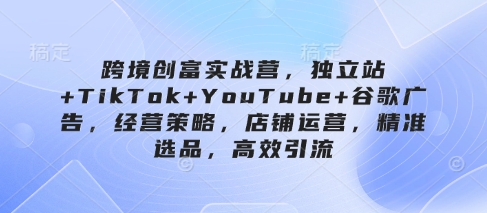 跨境创富实战营，独立站+TikTok+YouTube+谷歌广告，经营策略，店铺运营，精准选品，高效引流-云源网创