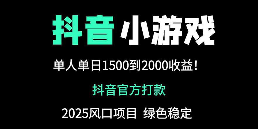 抖音官方小游戏2025全网最新玩法，暴利赚钱项目，单机日入2000+-云源网创