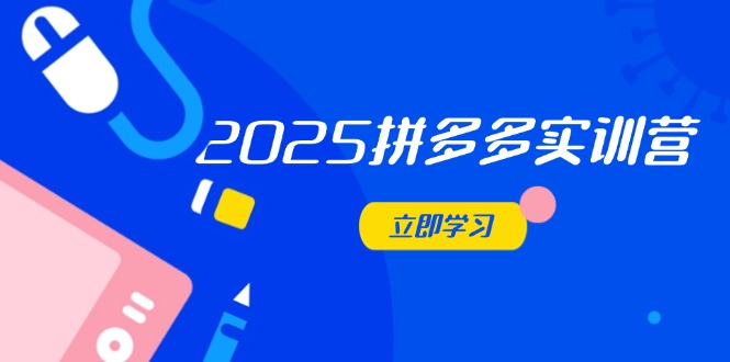 2025拼多多实训营：深度剖析运营关键，助力电商人快速提升-云源网创