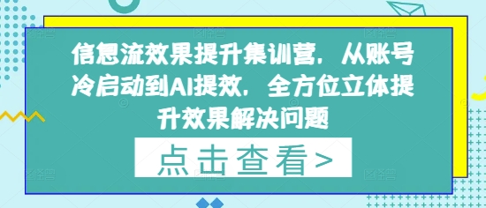 信息流效果提升集训营，从账号冷启动到AI提效，全方位立体提升效果解决问题-云源网创