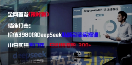 精准打击：价值3980的DeepSeek私域引流实操课，小白实操无门槛，日引精准粉300+-云源网创