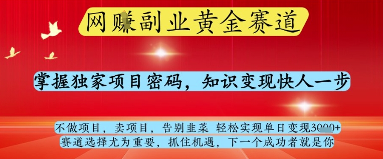 网创副业黄全赛道，掌握独家项目密码，知识变现快人一步，告别韭菜轻松实现单日变现1k+【揭秘】-云源网创