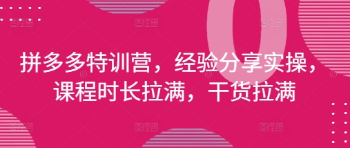 拼多多特训营，经验分享实操，课程时长拉满，干货拉满(更新25年4月)-云源网创