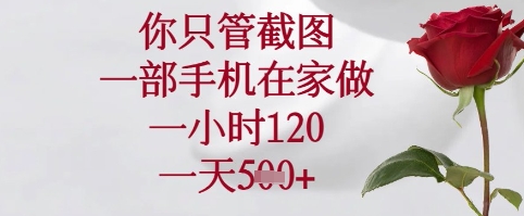 你只管截图，一部手机在家可以做，一小时120.一天5张+【揭秘】-云源网创