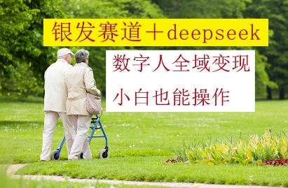 银发赛道+deepseek数字人全域变现，小白也能操作-云源网创