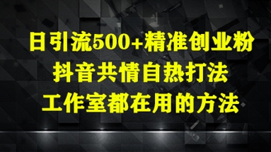 日引流500+精准创业粉，抖音共情自热打法，工作室都在用的方法-云源网创