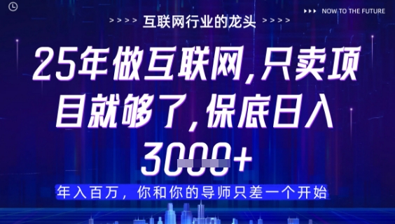 什么！25年你还在找项目做？风口早就变了，卖项目才是稳挣不赔【揭秘】-云源网创