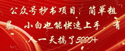 公众号抄书项目，简单粗暴，小白也能快速上手，有人一天搞了1k+-云源网创
